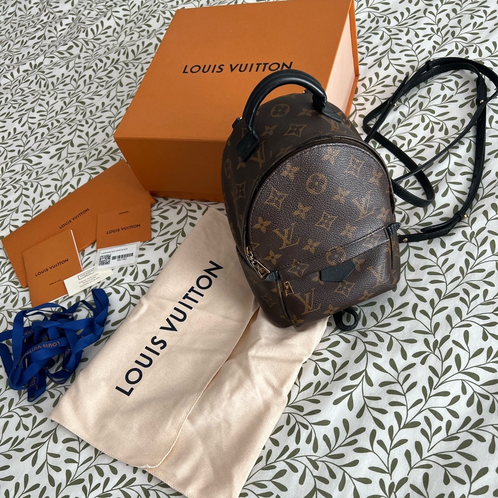 Louis Vuitton Palm Springs Mini